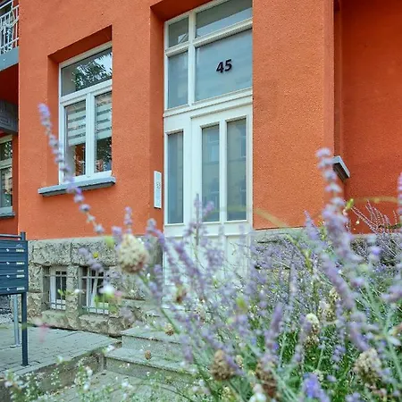 Otto - Zentrum Apartment *
